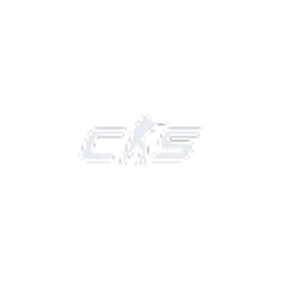 Counter Strike 2
