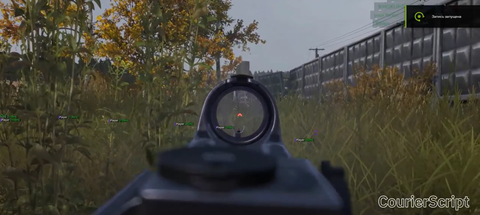 CourierScript DayZ — скриншот 3