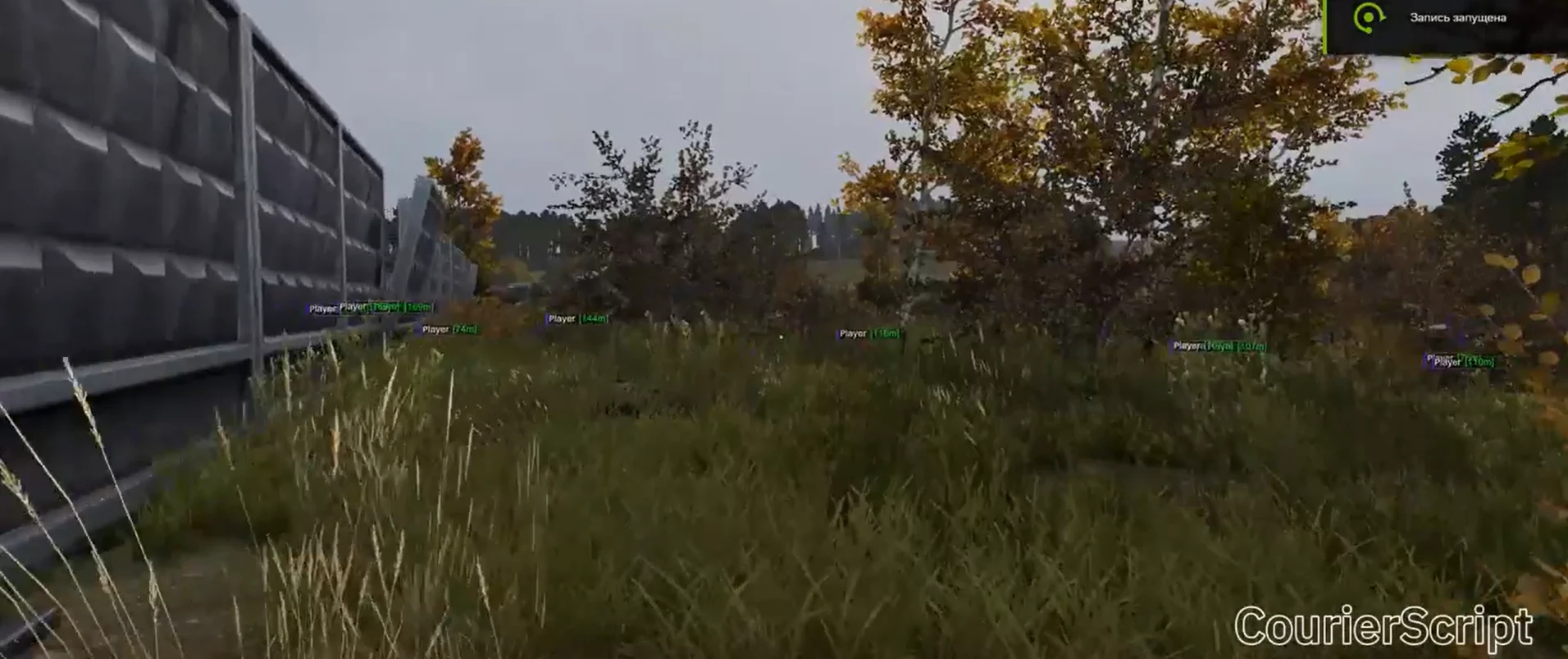 CourierScript DayZ — скриншот 2