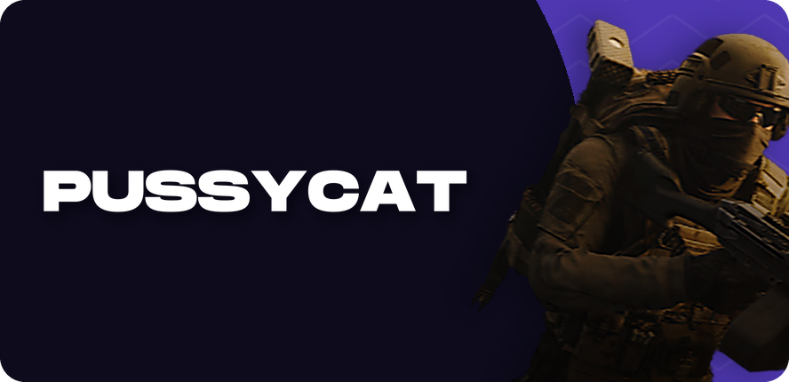 PussyCat — cheats for WARDOGS Cheats