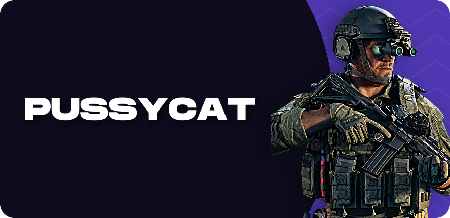 PussyCat — читы для Gray Zone Warfare
